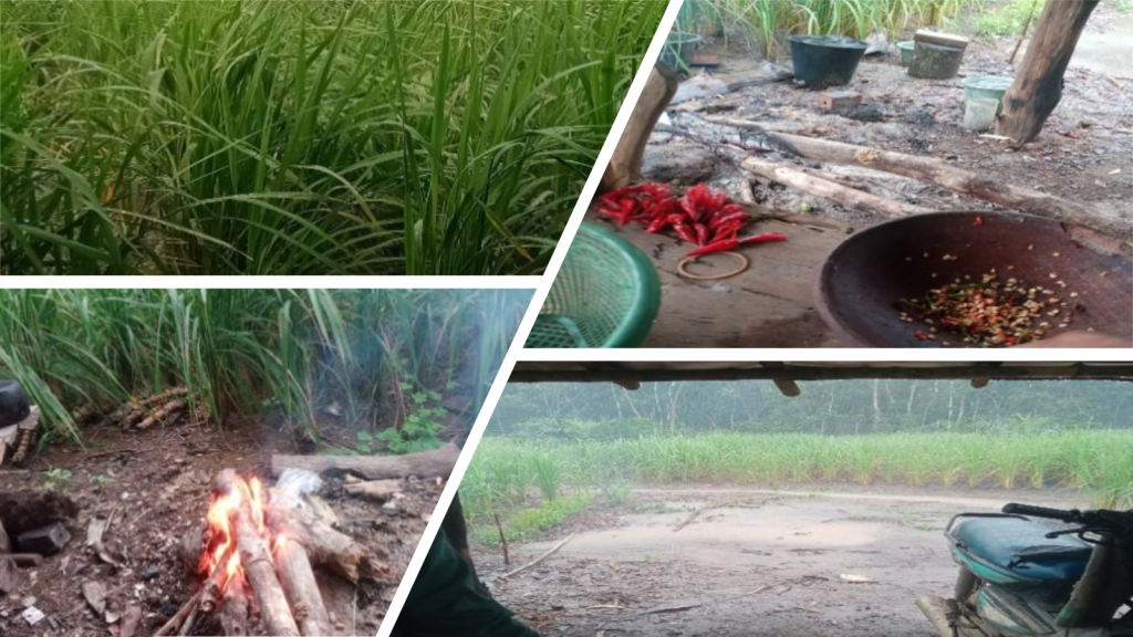 Ketika Hujan Menghadangku di&nbsp;Ladang